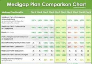 Medigap Cost Comparison Chart 2024